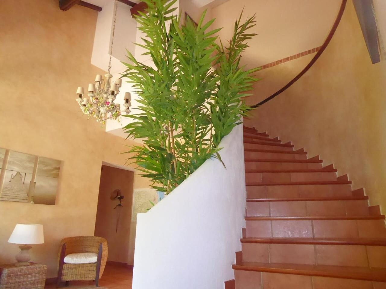 Mas Picton Hotel Argeles-sur-Mer Exterior photo